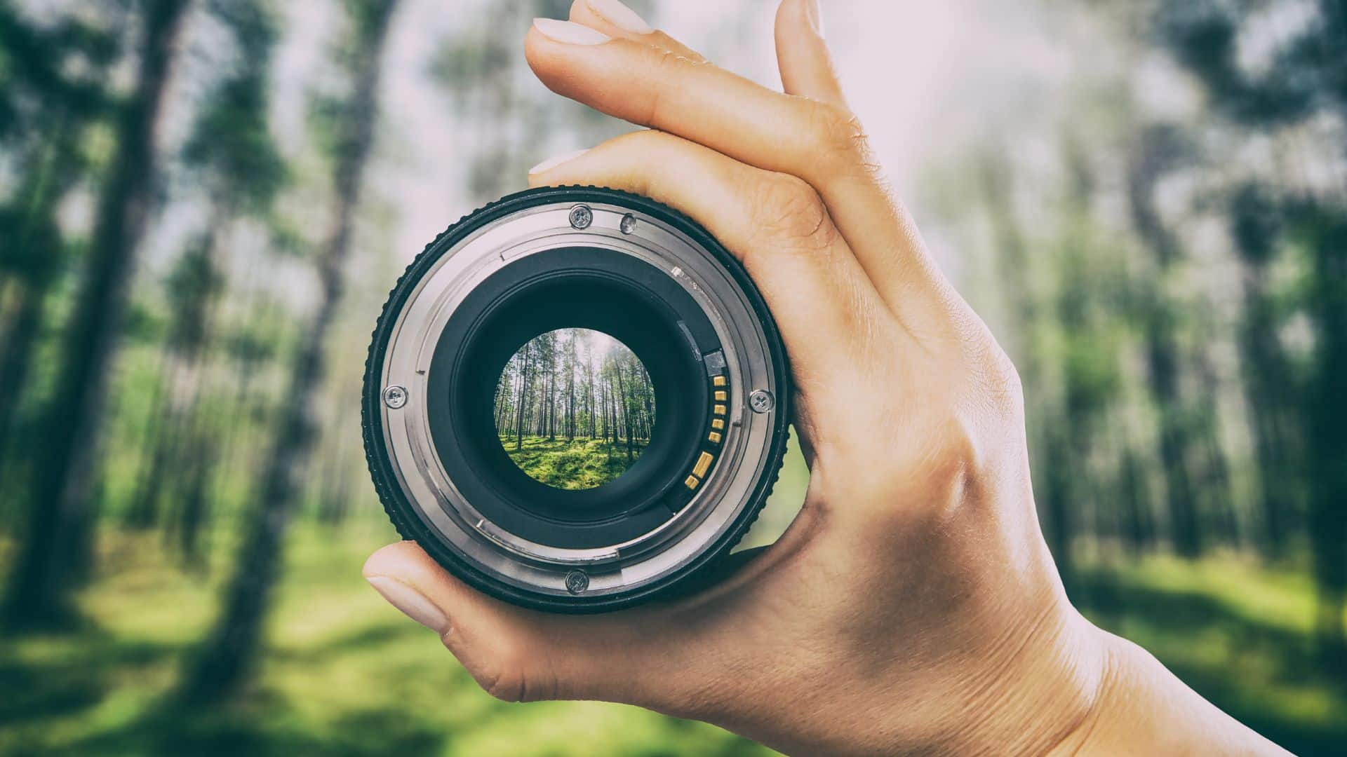 How Camera Lenses Affect Image Quality