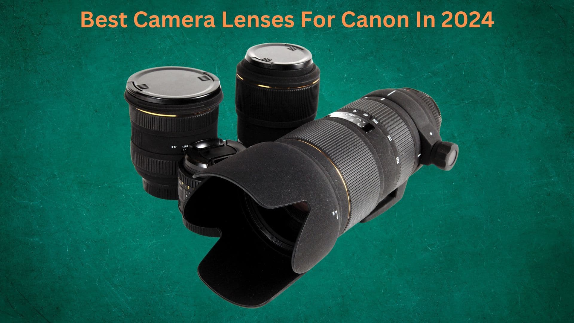 Best Camera Lenses For Canon In 2024