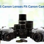 Can All Canon Lenses Fit Canon Cameras?