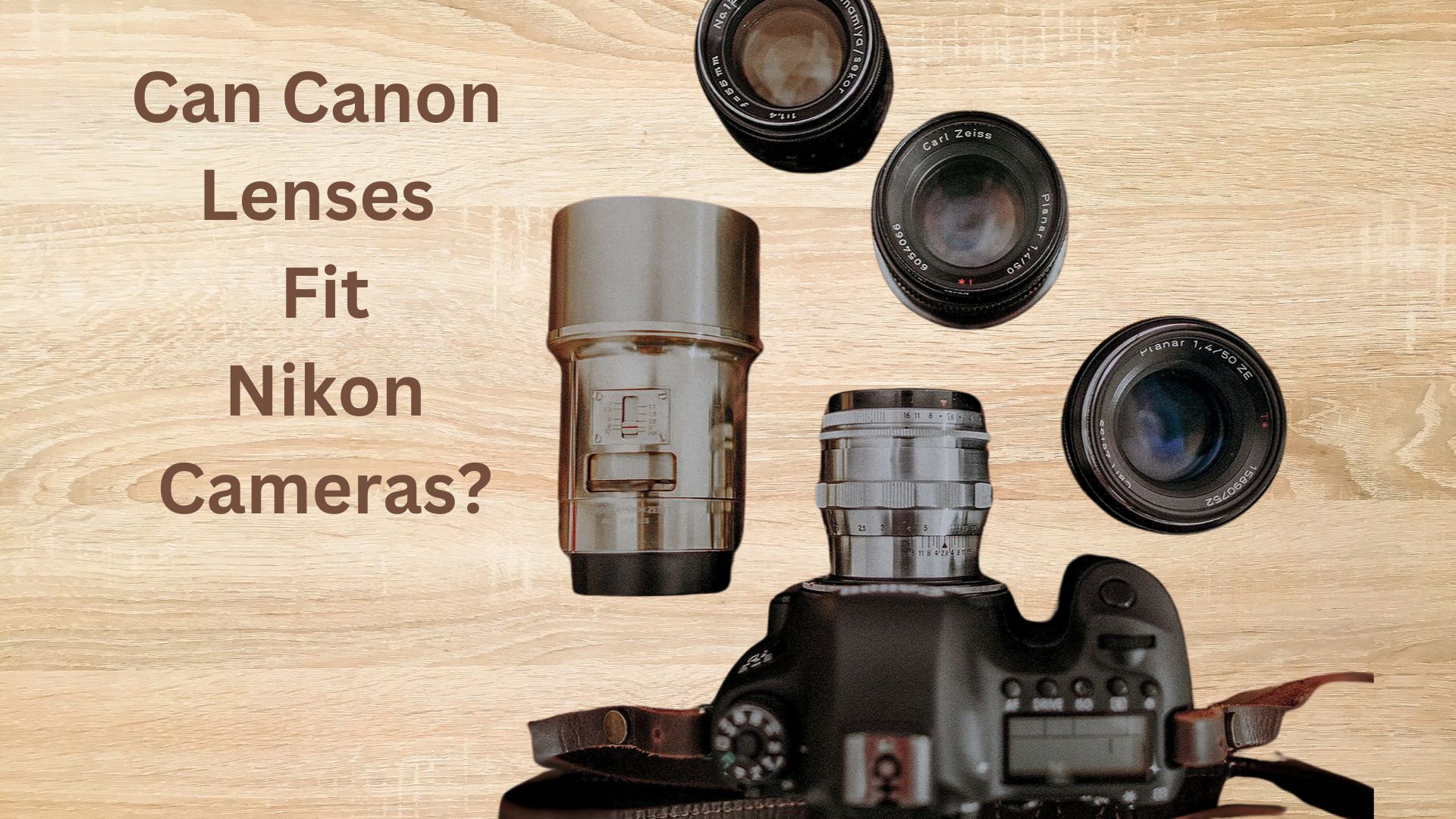 Can Canon Lenses Fit Nikon cameras