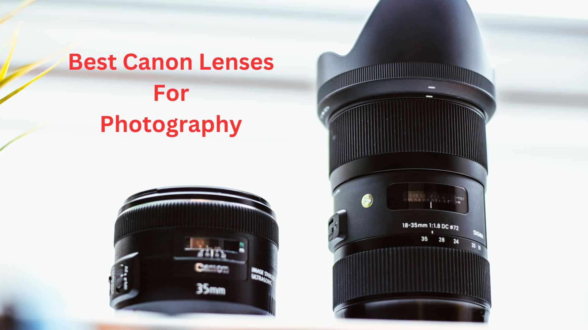 best canon lenses for photography