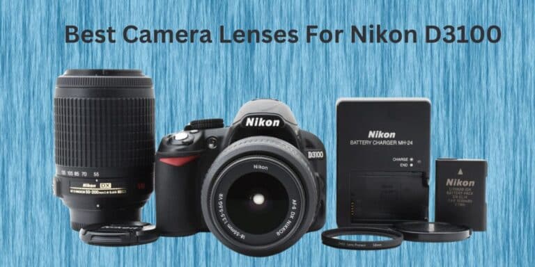 Best Camera Lenses for Nikon D3100