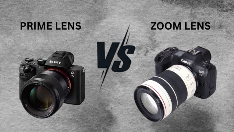 Prime Lens vs Zoom Lens
