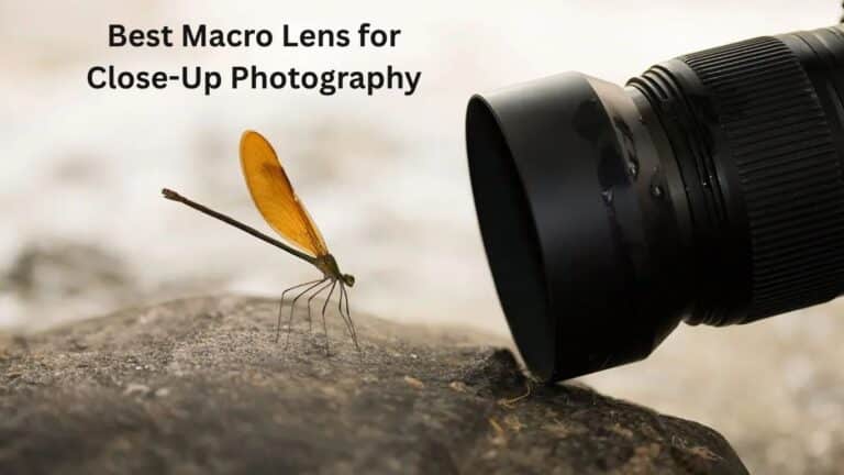 Best Macro Lens for Close-Up Photography