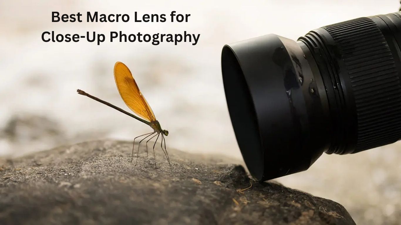 Best Macro Lens for Close-Up Photography